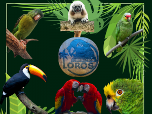 Visita a Fundación Loros Cartagena